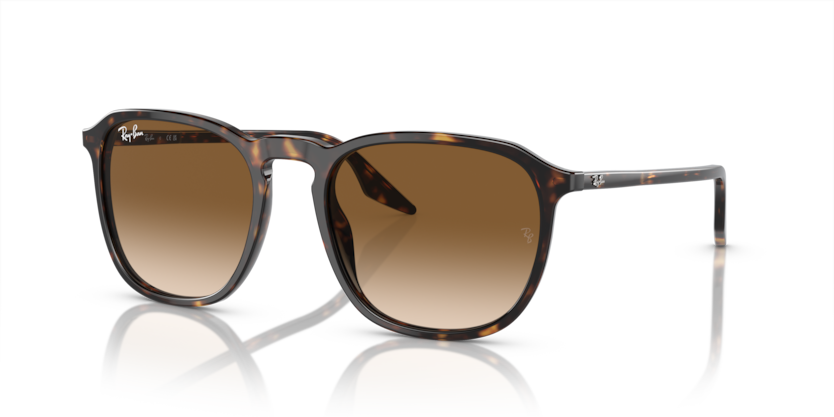 Mắt Kính RayBan • Đại lý uỷ quyền chính hãng!