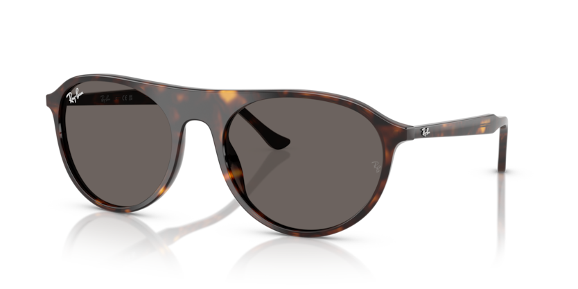 Mắt Kính RayBan • Đại lý uỷ quyền chính hãng!