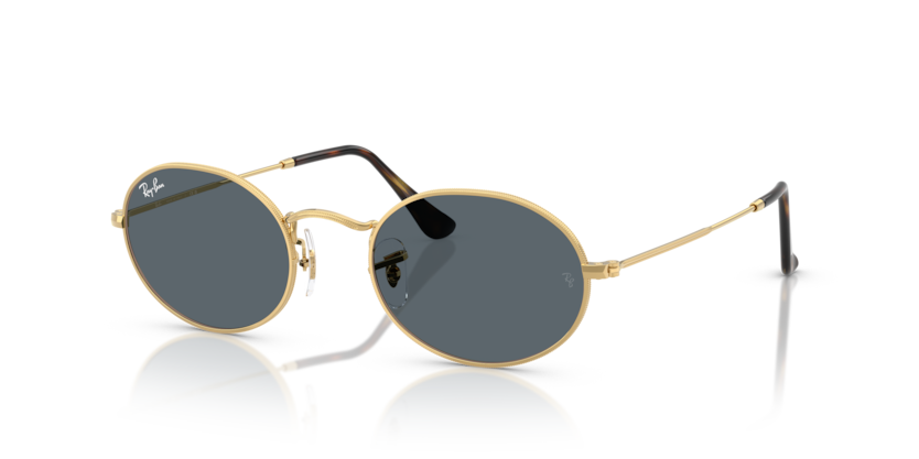 Mắt Kính RayBan • Đại lý uỷ quyền chính hãng!