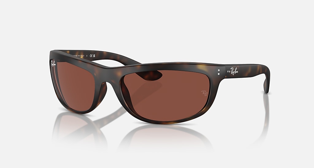 Mắt Kính RayBan • Đại lý uỷ quyền chính hãng!
