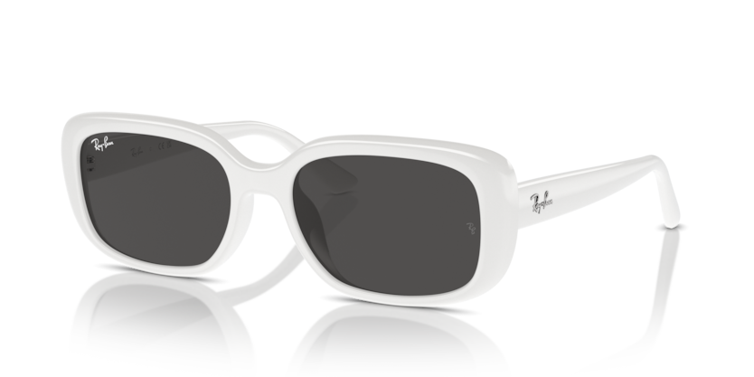 Mắt Kính RayBan • Đại lý uỷ quyền chính hãng!