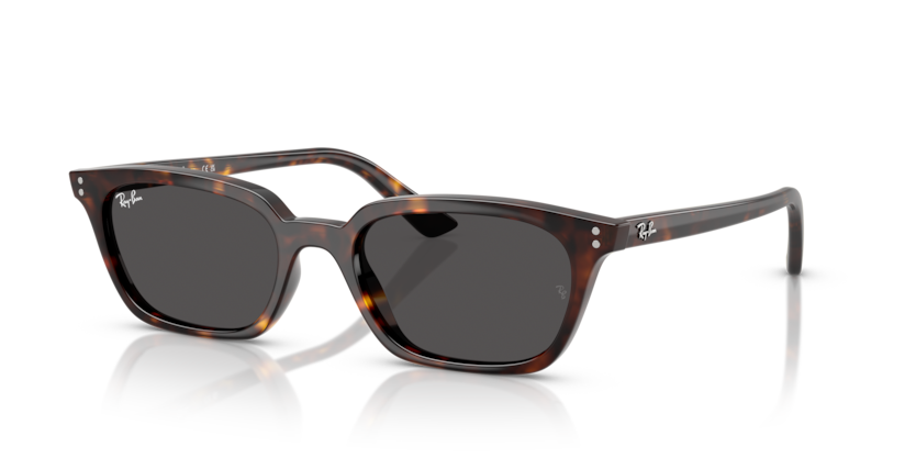 Mắt Kính RayBan • Đại lý uỷ quyền chính hãng!
