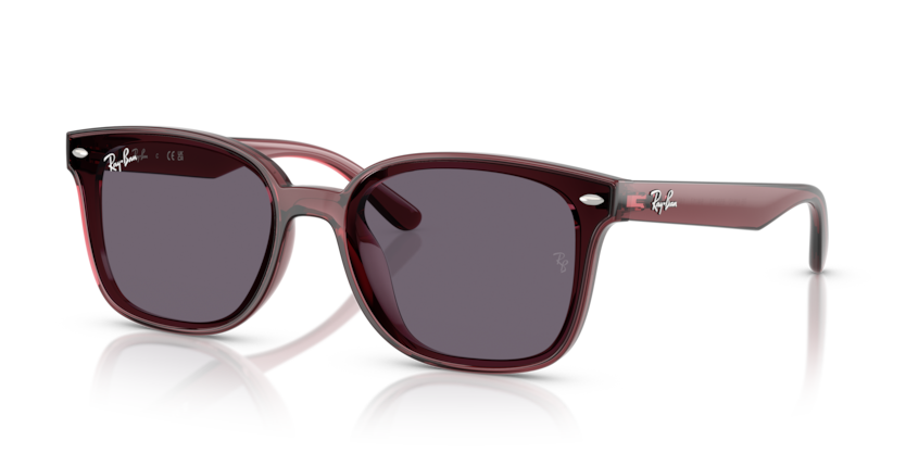 Mắt Kính RayBan • Đại lý uỷ quyền chính hãng!