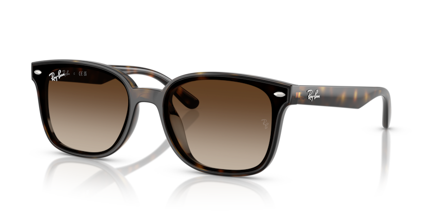 Mắt Kính RayBan • Đại lý uỷ quyền chính hãng!