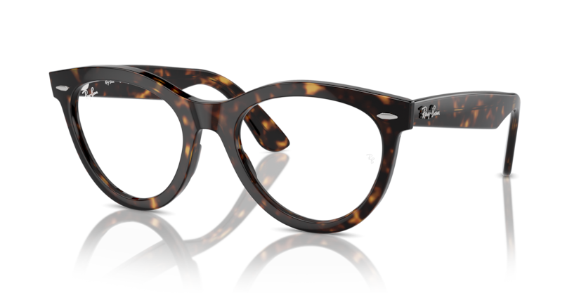 Mắt Kính RayBan • Đại lý uỷ quyền chính hãng!