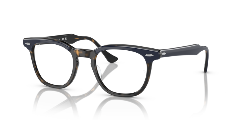 Mắt Kính RayBan • Đại lý uỷ quyền chính hãng!