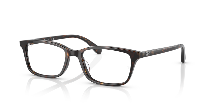 Mắt Kính RayBan • Đại lý uỷ quyền chính hãng!