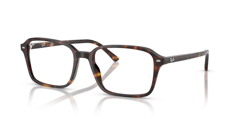 Mắt Kính RayBan • Đại lý uỷ quyền chính hãng!
