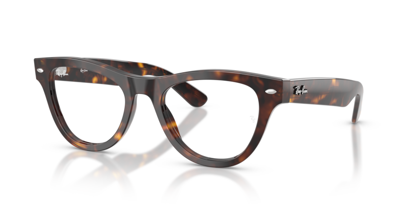 Mắt Kính RayBan • Đại lý uỷ quyền chính hãng!
