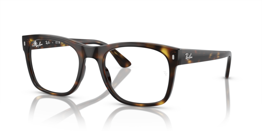 Mắt Kính RayBan • Đại lý uỷ quyền chính hãng!