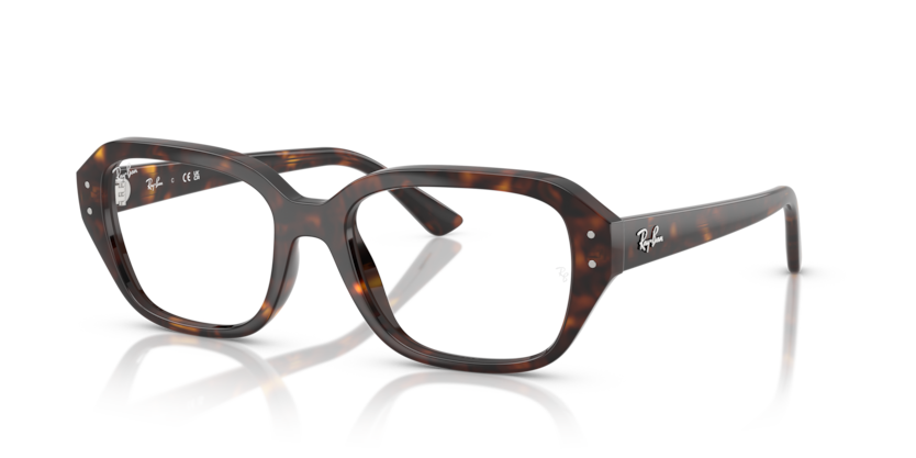 Mắt Kính RayBan • Đại lý uỷ quyền chính hãng!