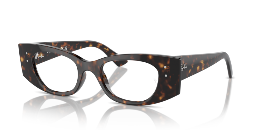 Mắt Kính RayBan • Đại lý uỷ quyền chính hãng!